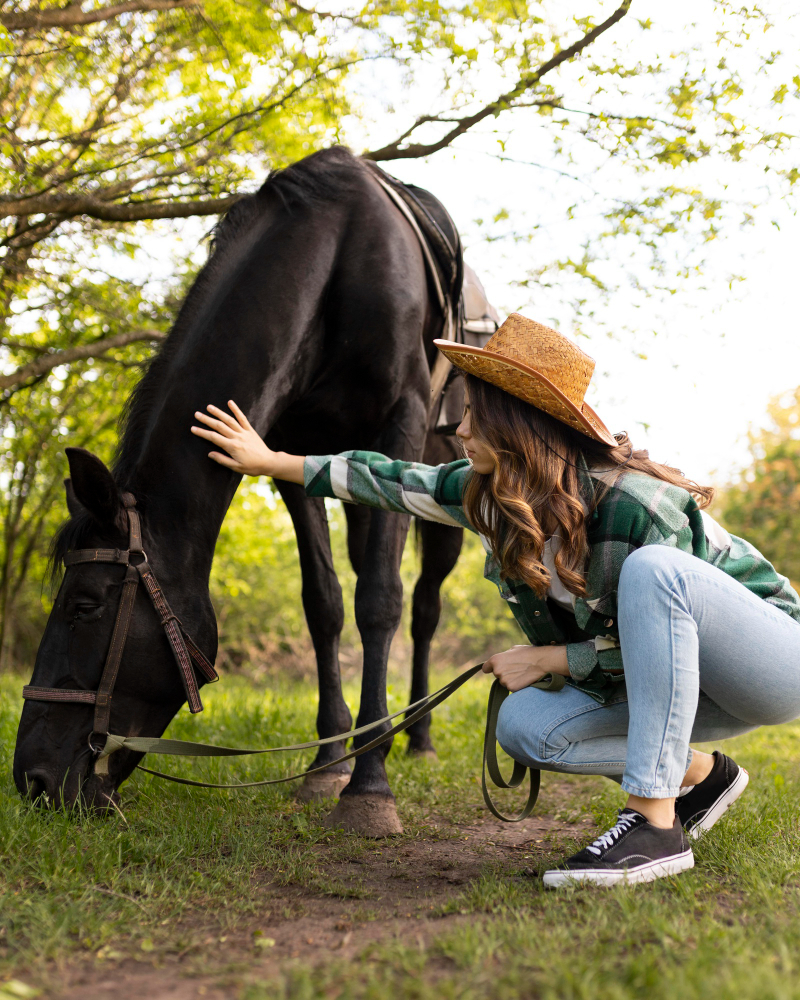 Royal Care: Tips for Grooming and Relaxing Your Horse 2149000795