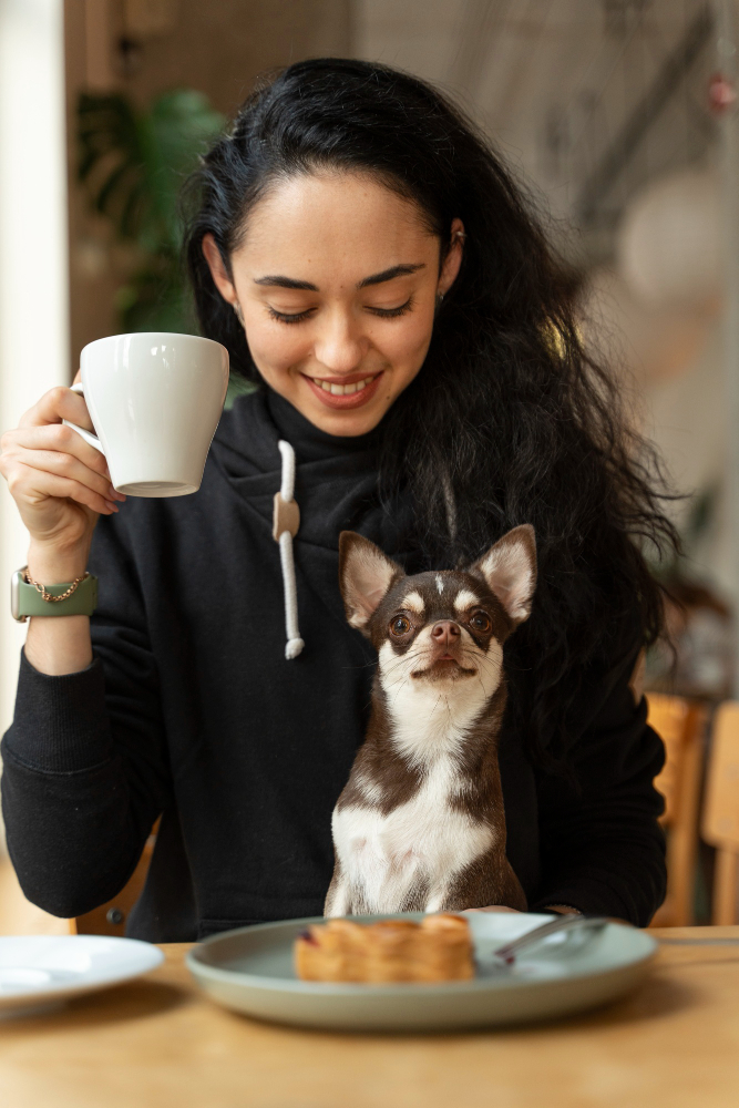 How to Train Your Pet at Home: Effective Techniques and Strategies 2149880093