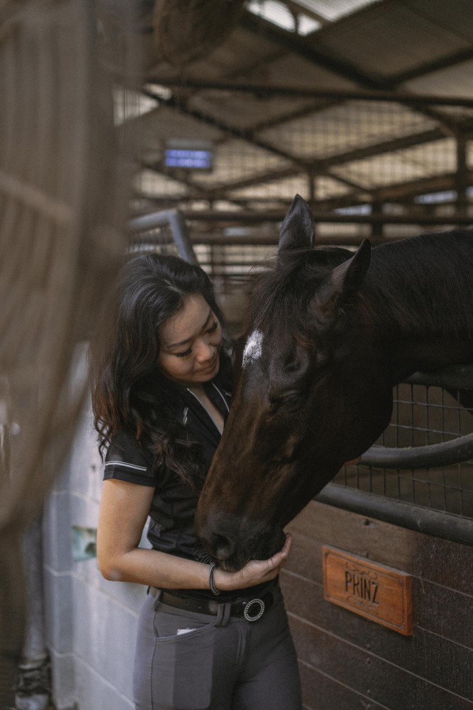 Royal Care: Tips for Grooming and Relaxing Your Horse 3746