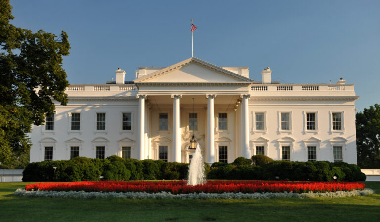 Battle for the White House: Key Issues and Candidates