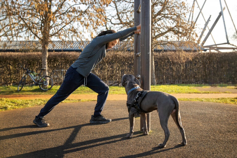 Dog Boarding